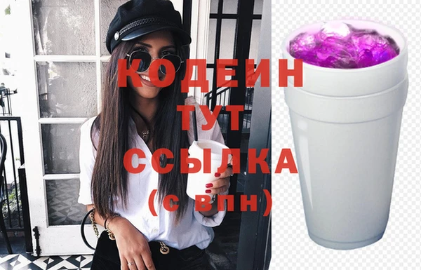 тгк Каменка