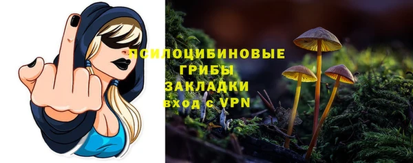 гашишное масло Новодвинск
