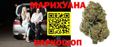 сатива Абакан