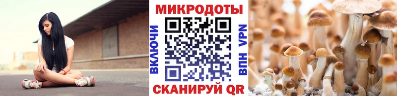 купить наркотик  Котельники  MEGA   Галлюциногенные грибы MAGIC MUSHROOMS 