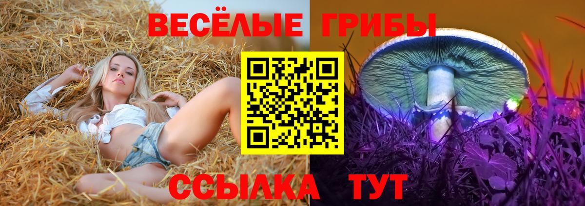 Котельники  Псилоцибиновые грибы ЛСД  Псилоцибиновые грибы GOLDEN TEACHER  Вход с VPN 