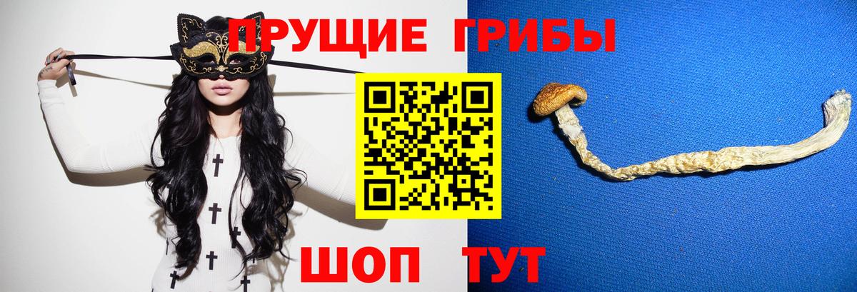  COCAIN Котельники