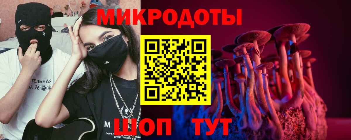 Псилоцибиновые грибы Psilocybe  Псилоцибиновые грибы ЛСД  Котельники 